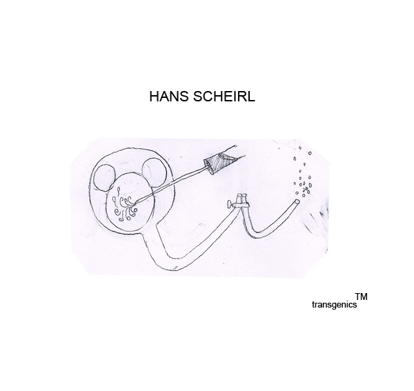 Hans Scheirl